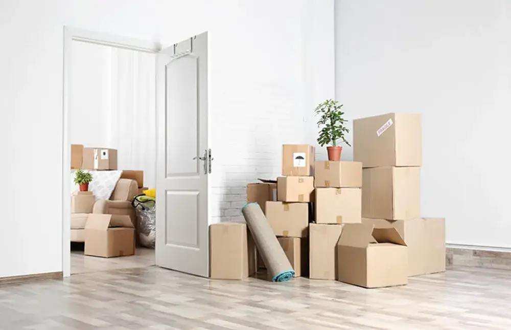 The Best Movers & Packers in UAE in 2025